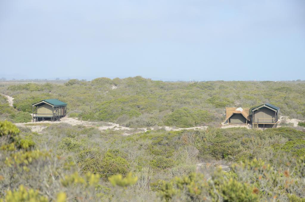 West Coast Luxury Tents Dwarskersbos Exterior photo